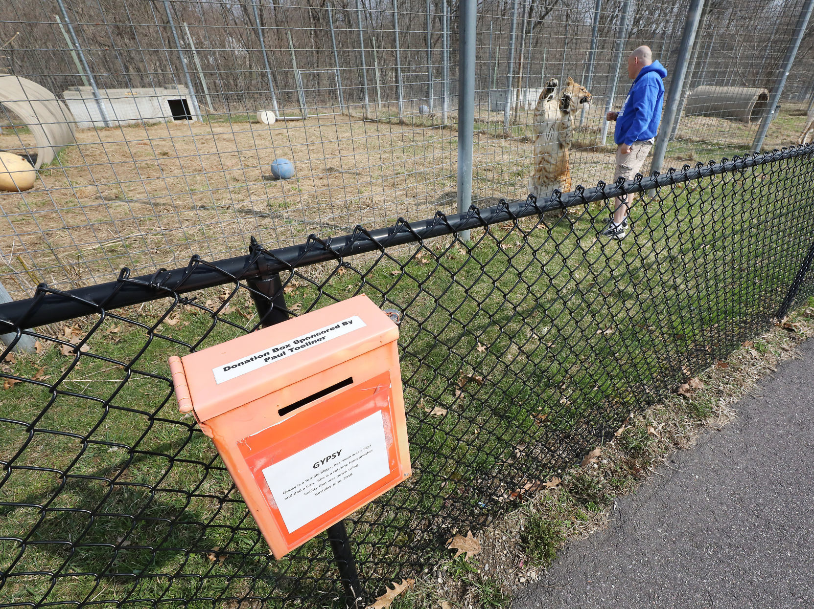 Wisconsin Big Cat Rescue & Education Center